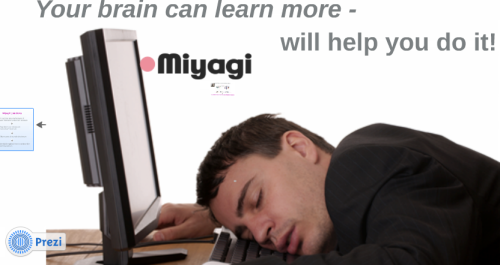 Miyagi Learning Enhancer